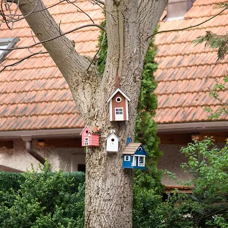 Julius アパート ソポト